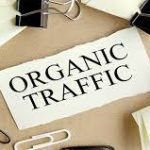 ترافیک ارگانیک وبسایت چیست ؟