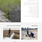 کشاورزی و باغبانی