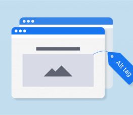 تگ Alt چیست و چه تاثیری در سئو سایت دارد؟