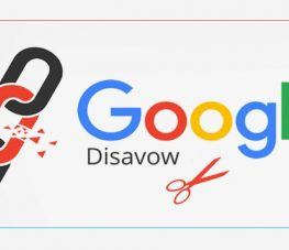 Disavow چیست و چه کاربردی دارد؟