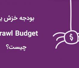 بودجه خزش (Crawl Budget) چیست؟ چگونه نرخ آن را افزایش دهیم؟